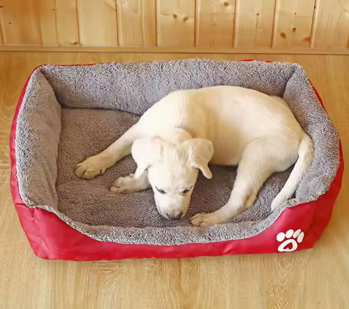 Dog Bed